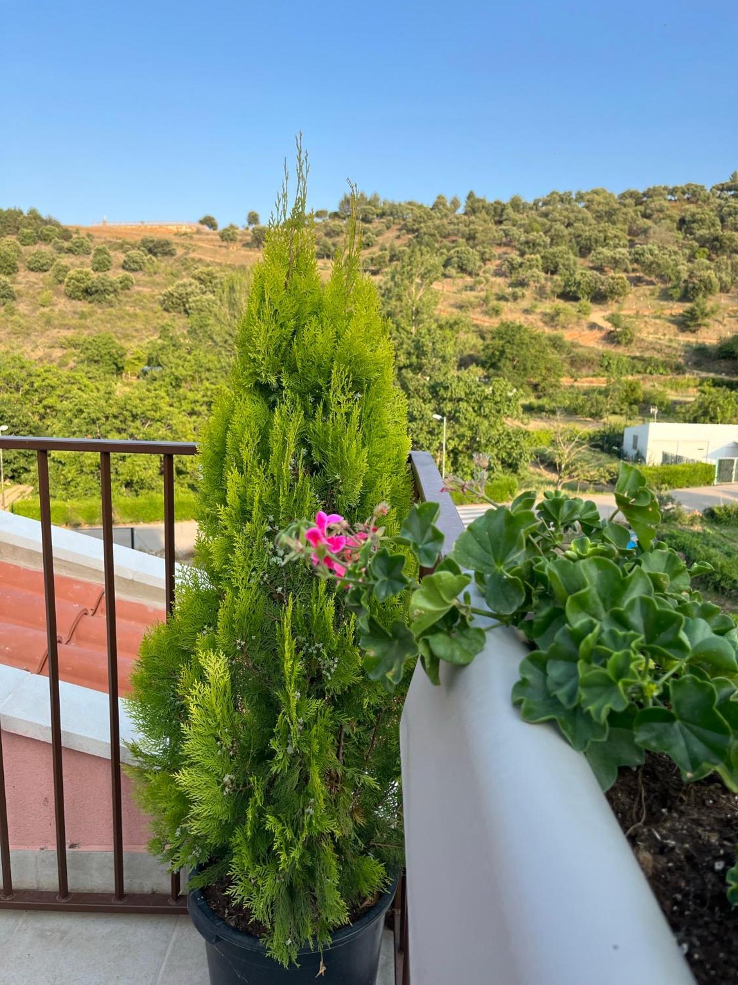Apartamentos La Flor San Martin de Moncayo Ngoại thất bức ảnh